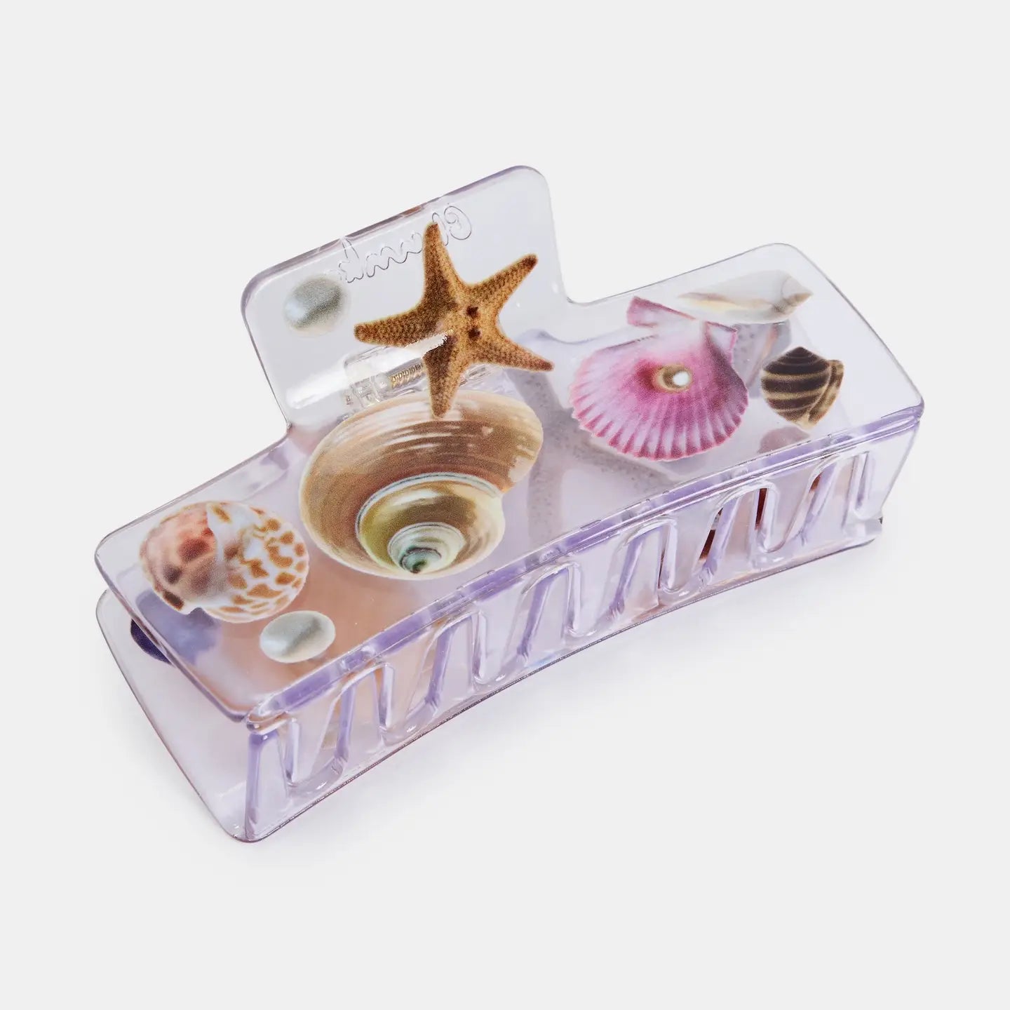 Seashell Box Claw