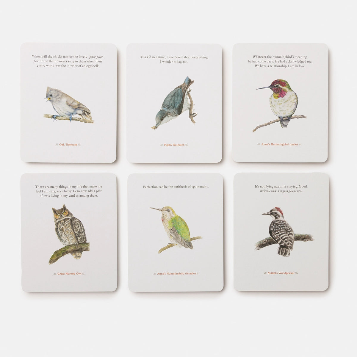 The Backyard Bird Deck