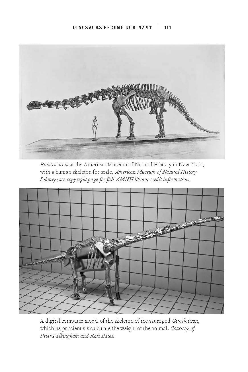 Rise and Fall of the Dinosaurs