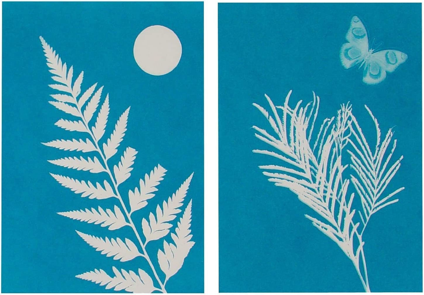Outdoor Discovery Solar Print Kit