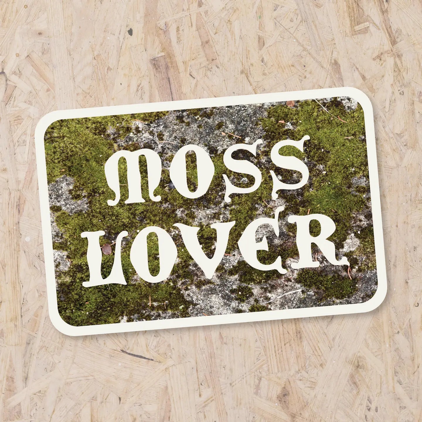 The Lichen Collective Stickers