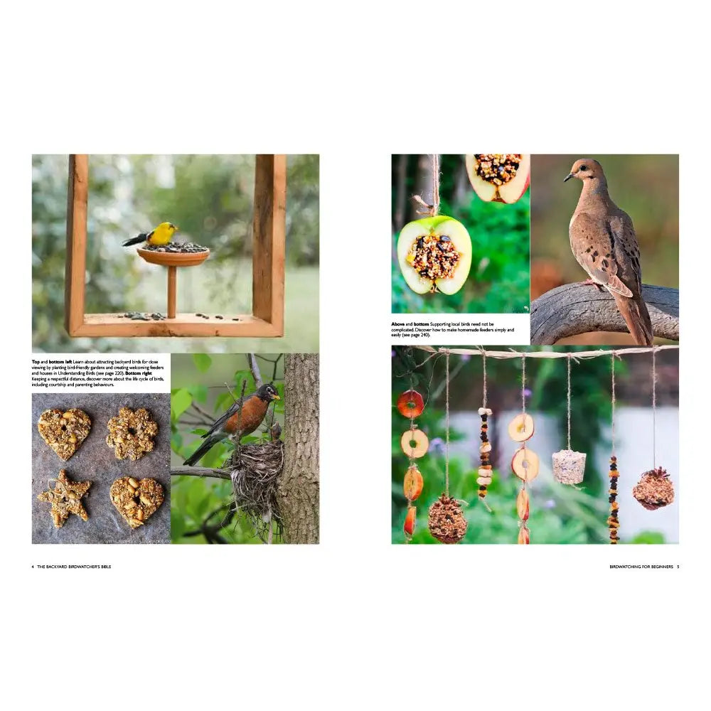 The Backyard Birdwatcher's Bible