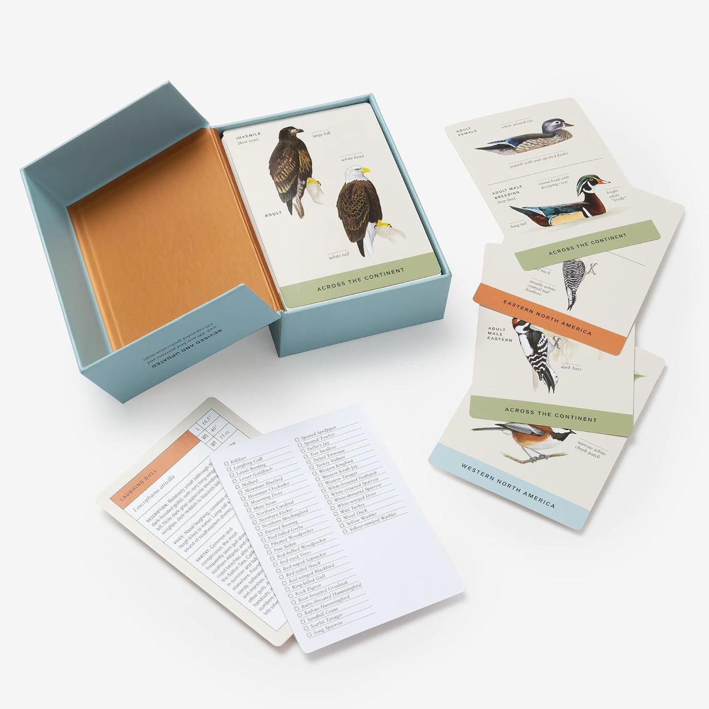 Sibley Backyard Bird Flashcards