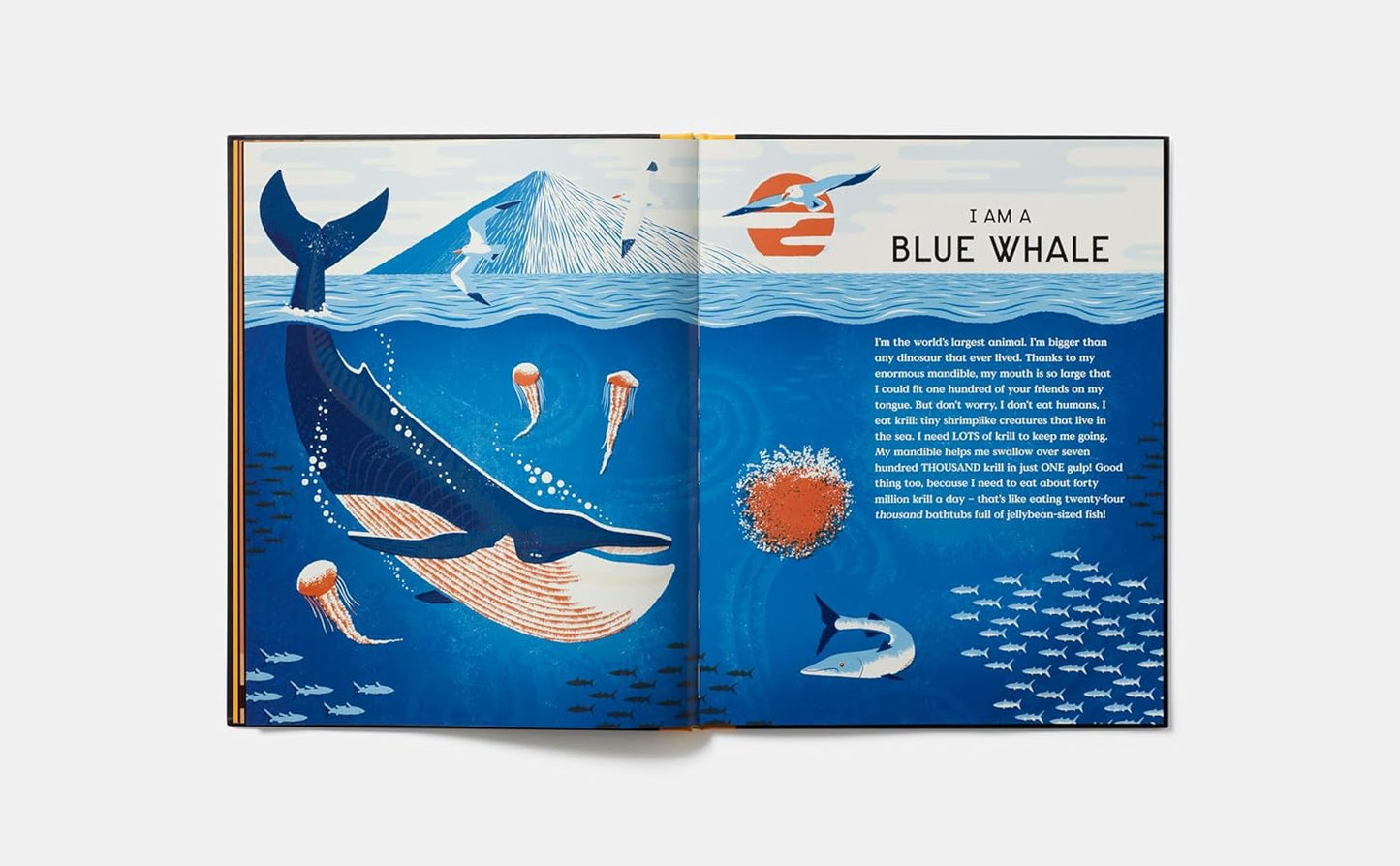 Book of Bones: 10 Record-Breaking Animals