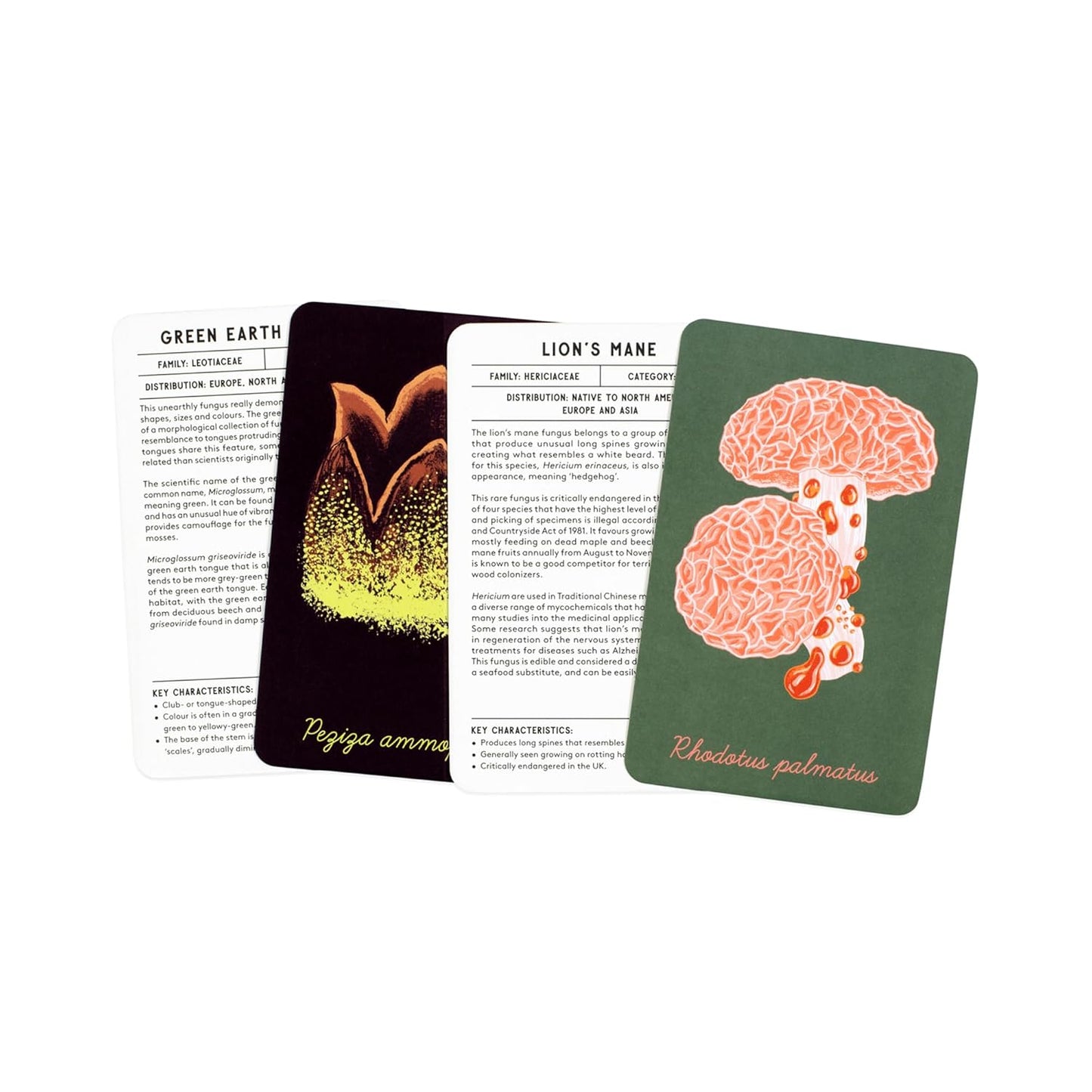 The Mushroom Compendium Cards