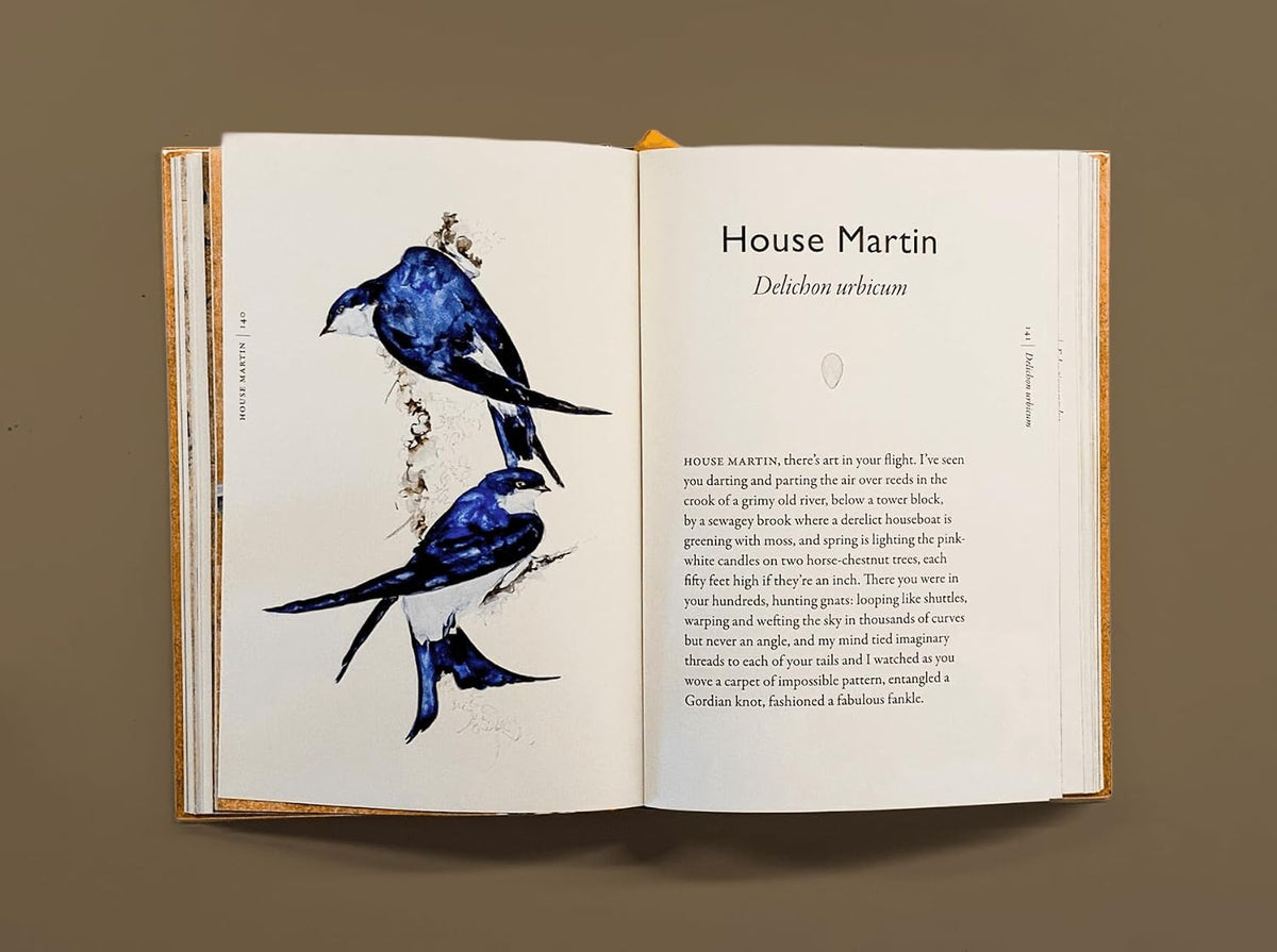 The Book of Birds: A Field Guide To Wonder and Loss