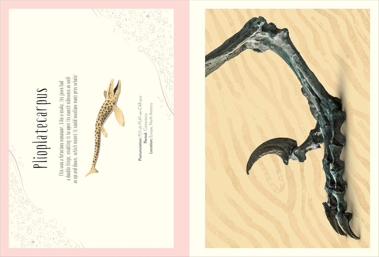 Anthology Dino Poster Book