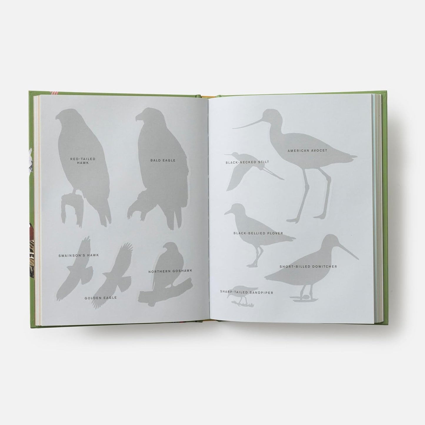 Sibley Birding Sticker Book
