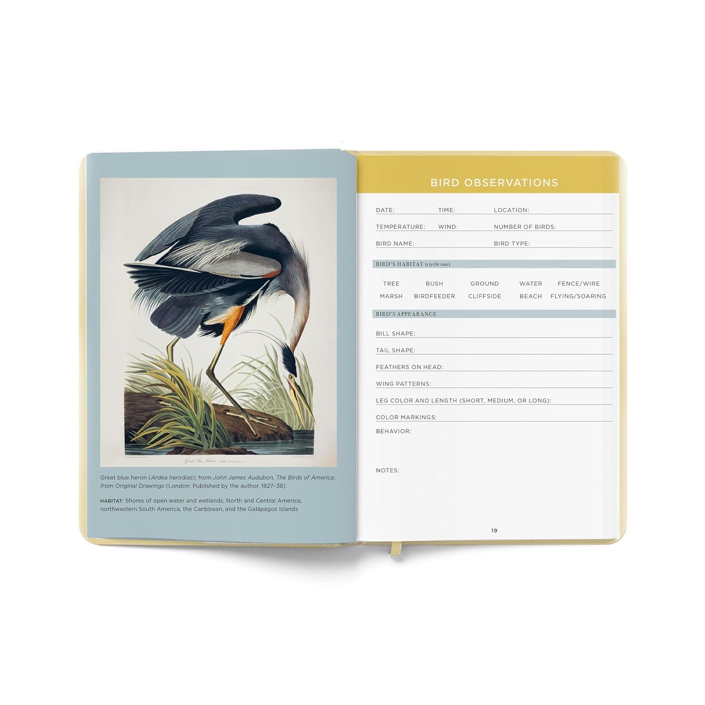 The Birdwatcher's Field Journal