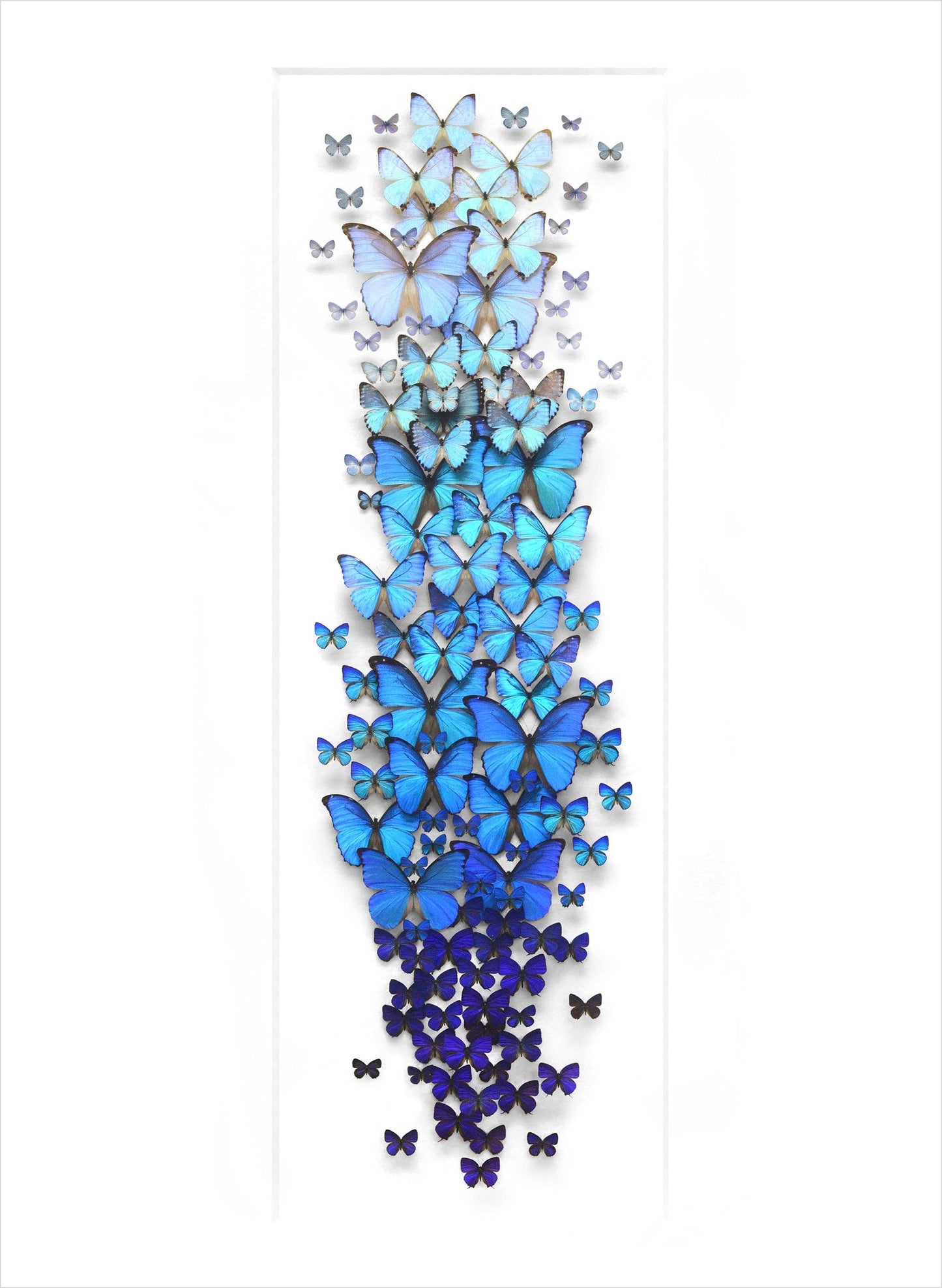 Biophilia: The Art of Christopher Marley Book of Postcards