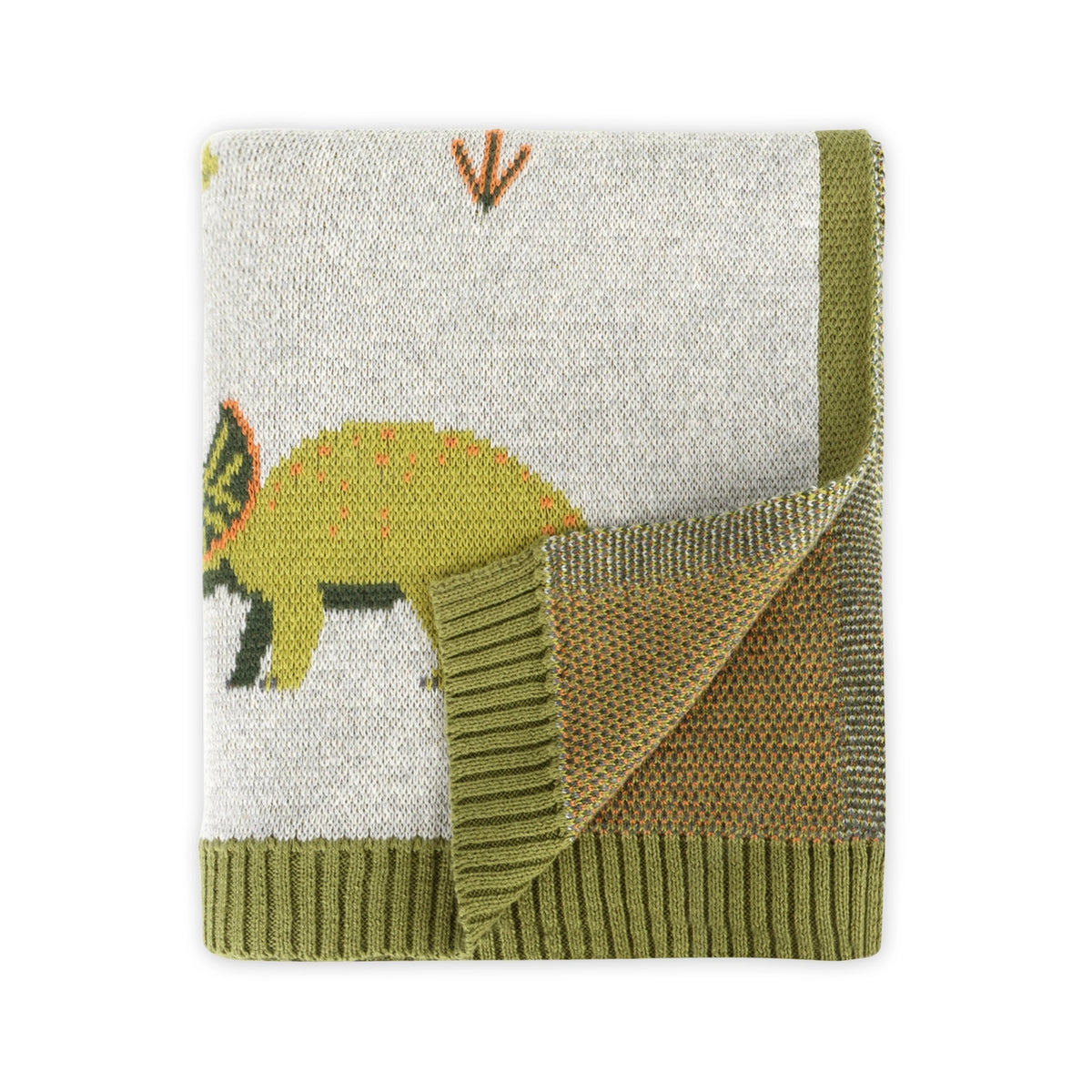 Green Dinosaur Organic Knit Baby Blanket