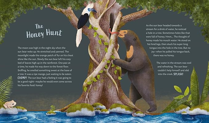 Secrets of the Forest