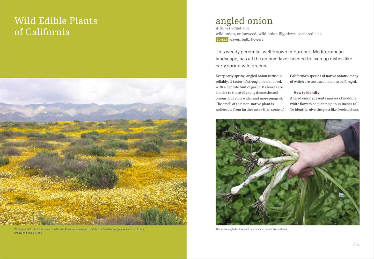California Foraging