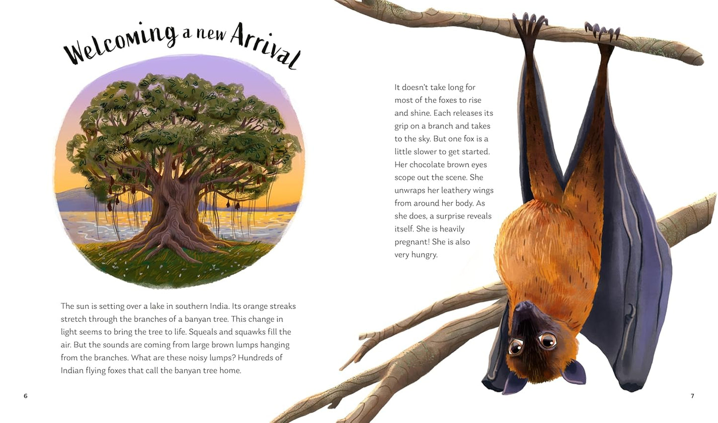 Secrets of the Stars: 15 Bedtime Stories Inspired By Nature