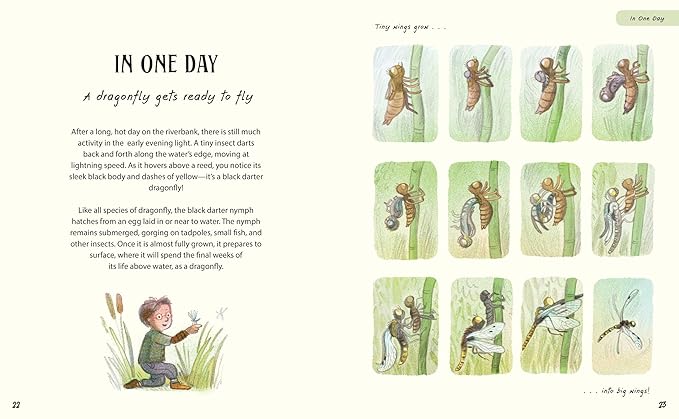 Patience... A Slow Down Book