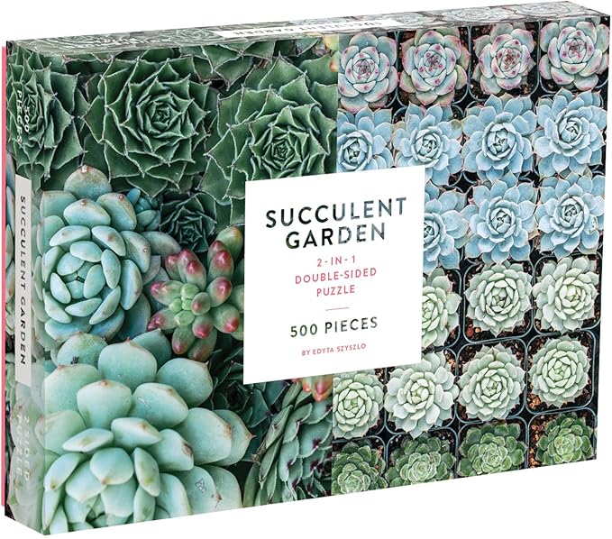 Succulent Garden