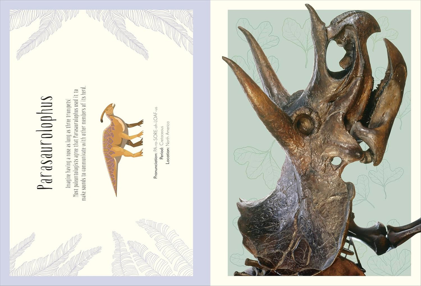 Anthology Dino Poster Book