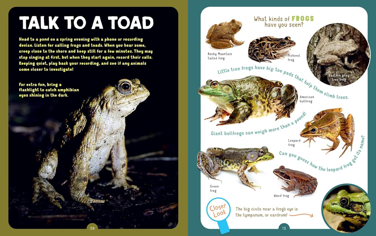 Backpack Explorer: Spotting Snakes and Frogs