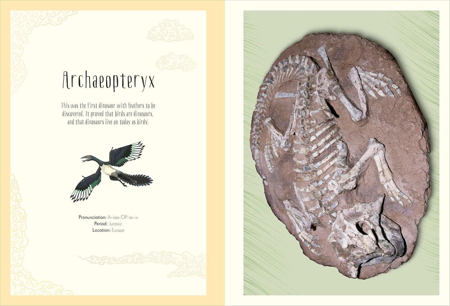 Anthology Dino Poster Book