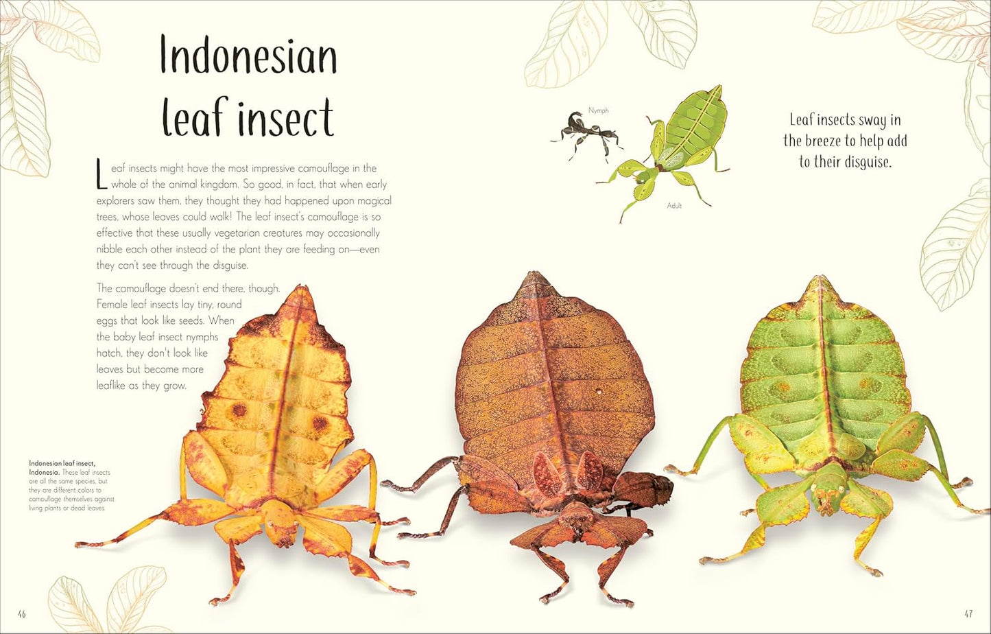 An Anthology of Remarkable Bugs