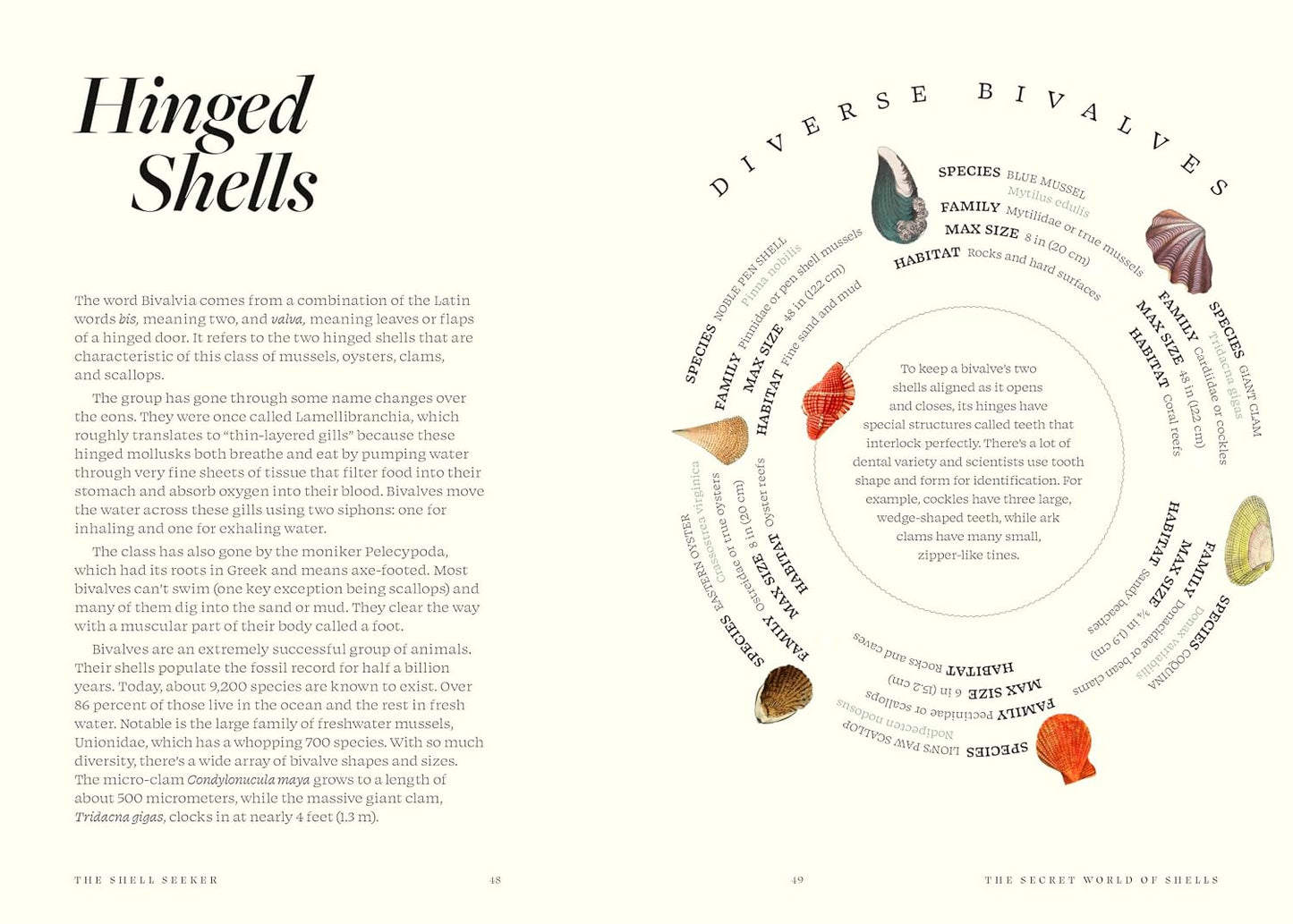 The Shell Seeker