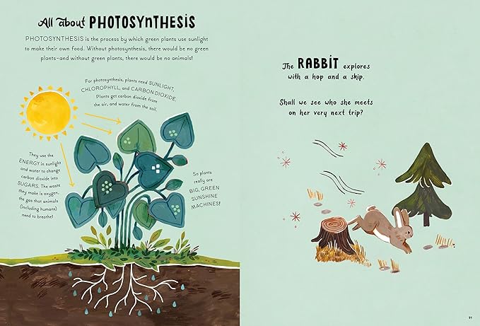 5-Minute Nature Stories: A Picture Book