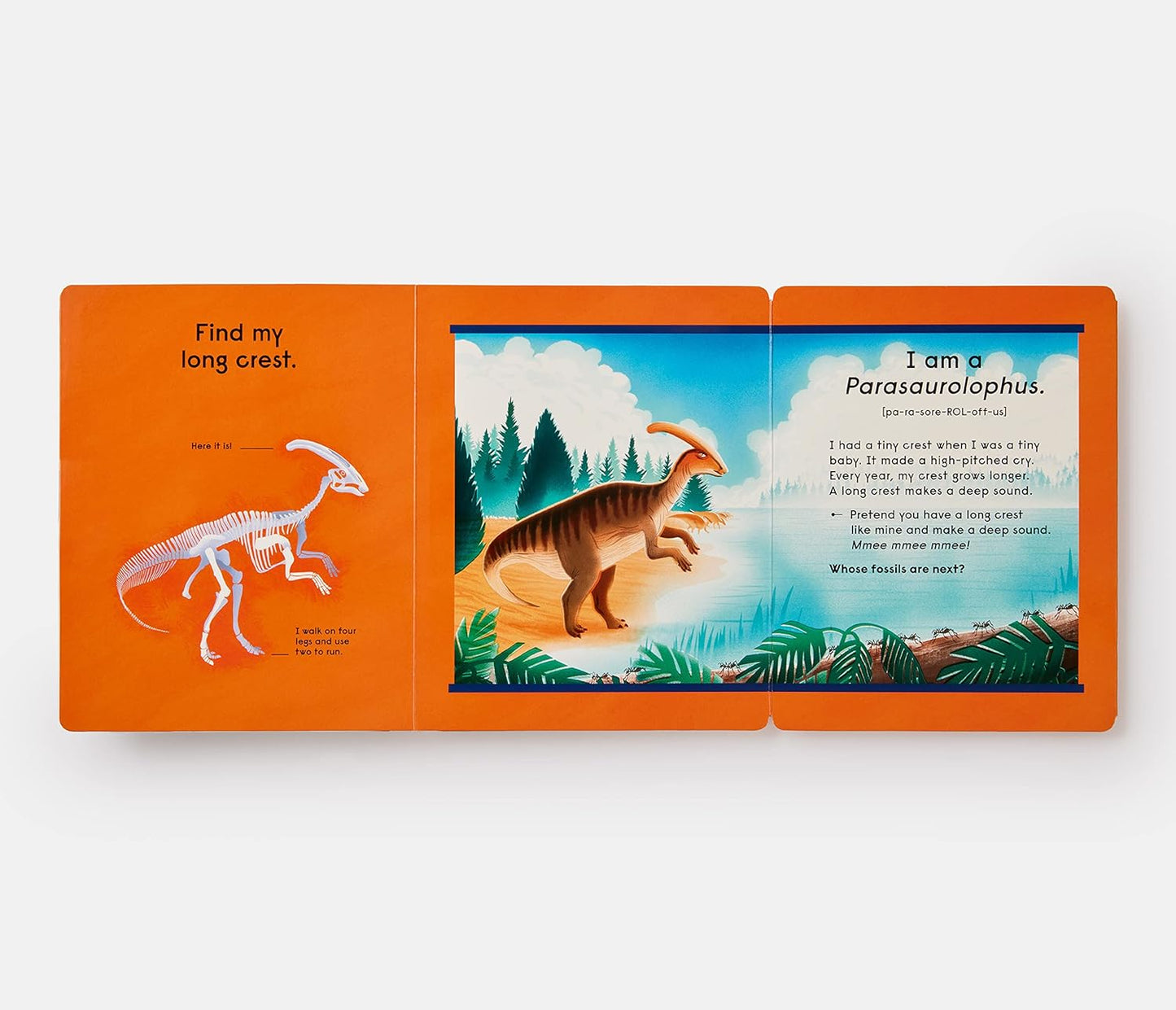 Who's That Dinosaur?: An Animal Guessing Game