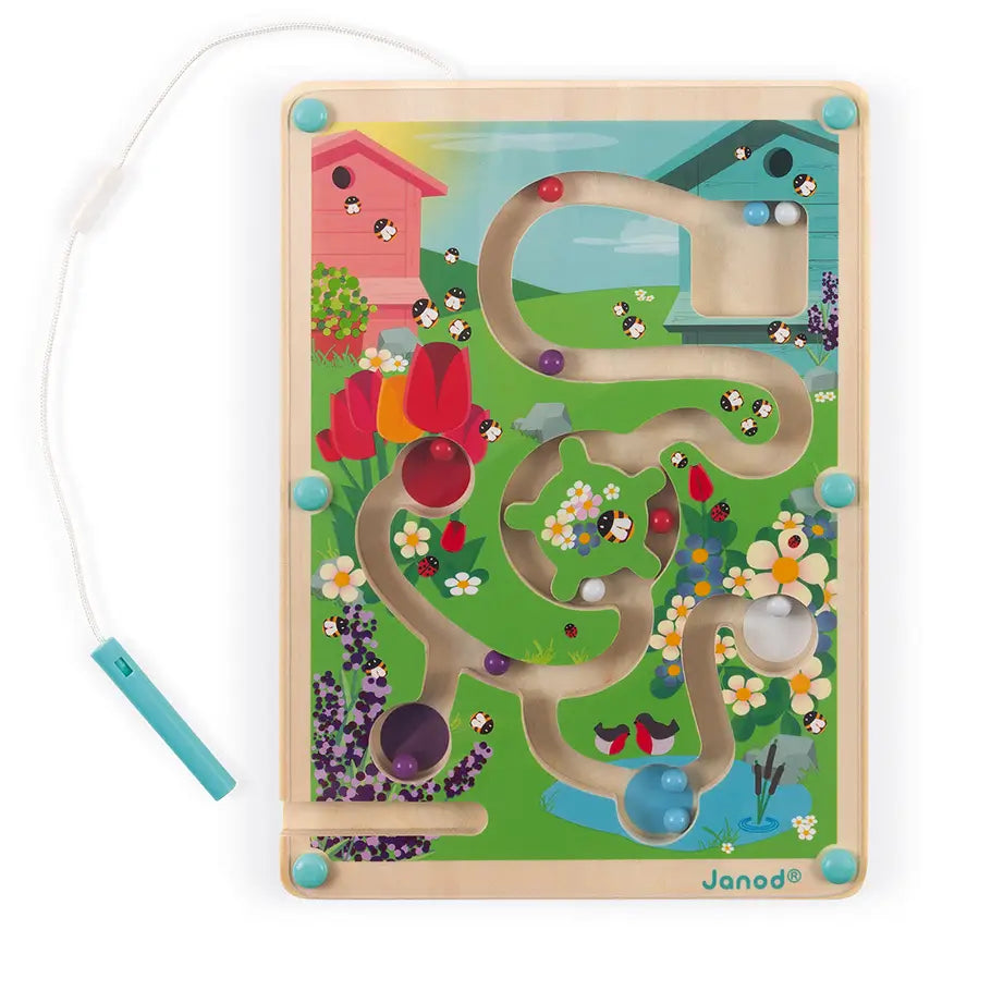 Hive Magnetic Maze