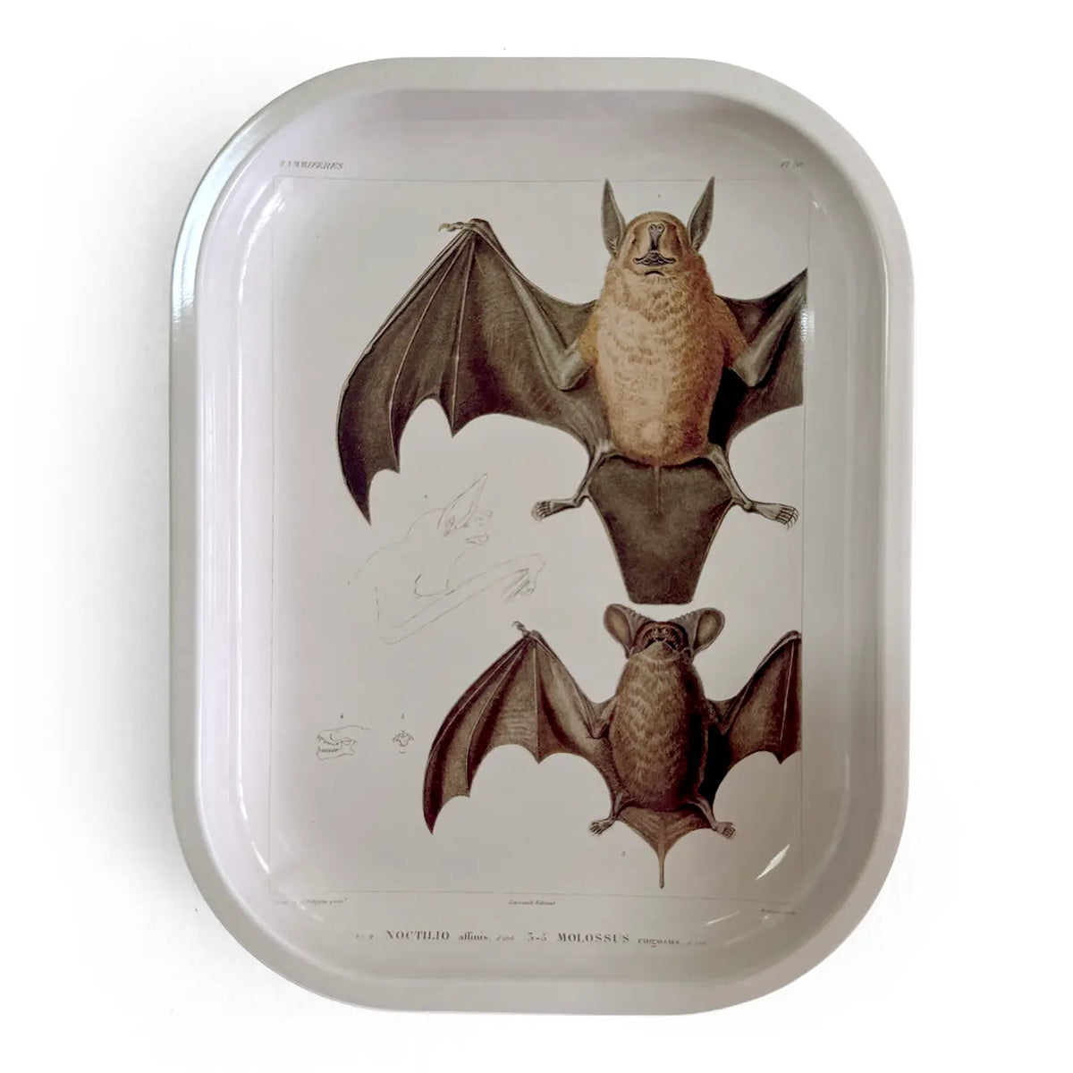 Small Metal Tray