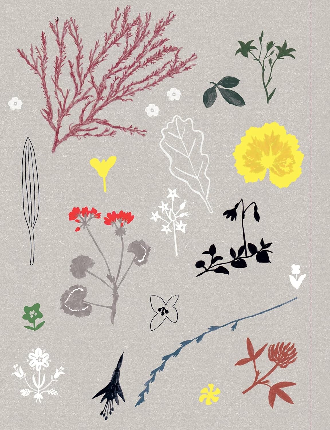 Flow: Paper Book for Nature Lovers
