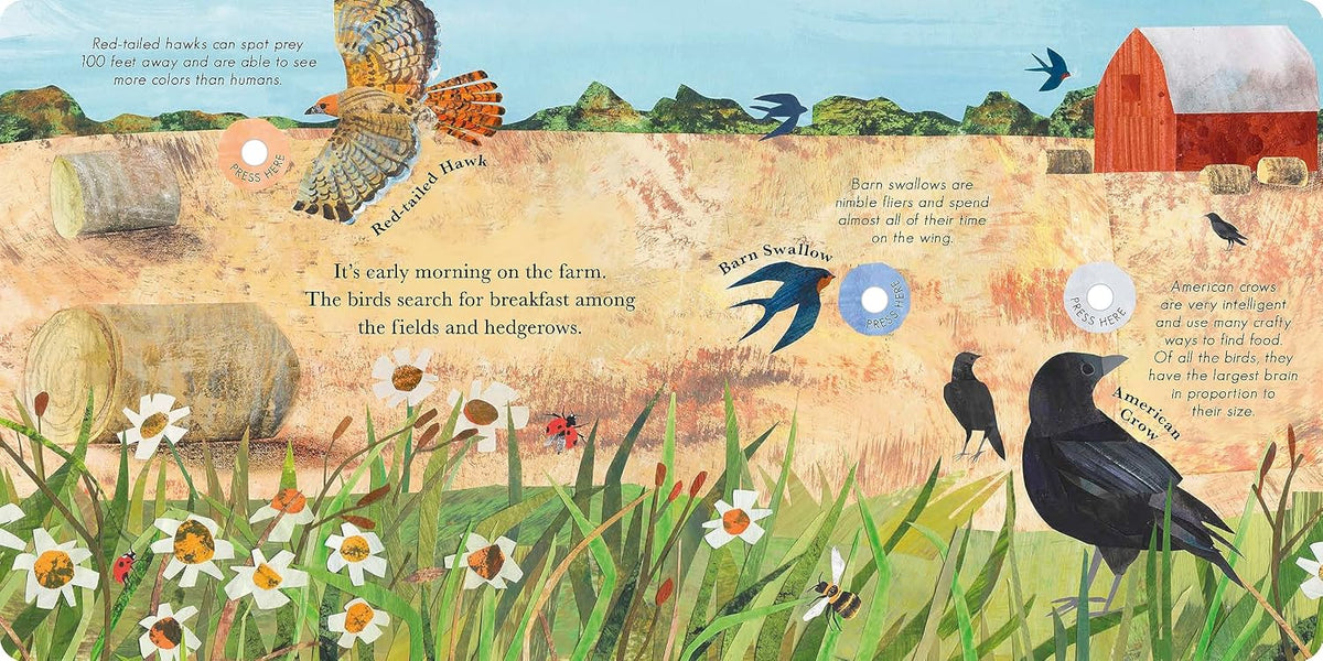 Songs of the Birds