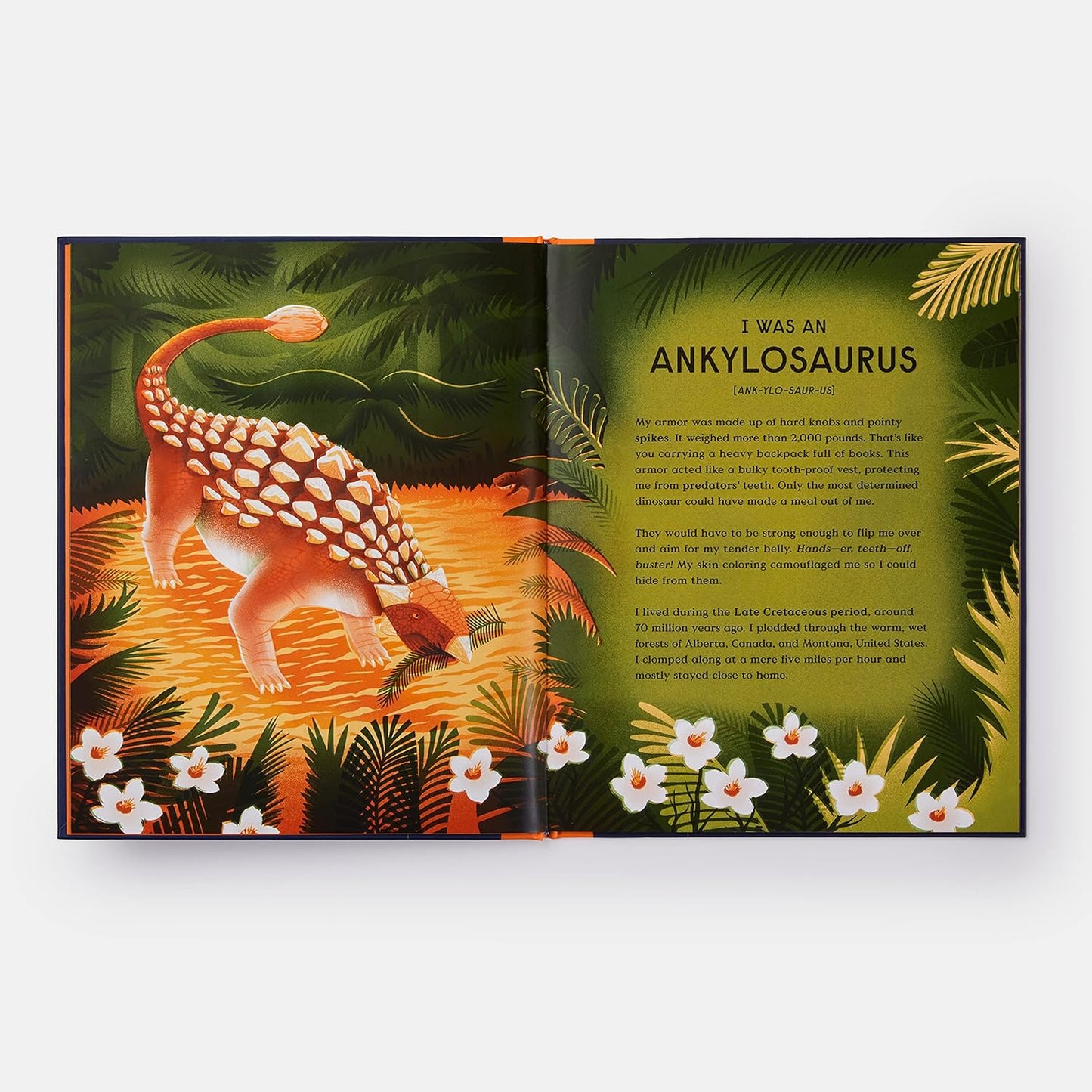 Book of Dinosaurs: 10 Record-Breaking Prehistoric Animals