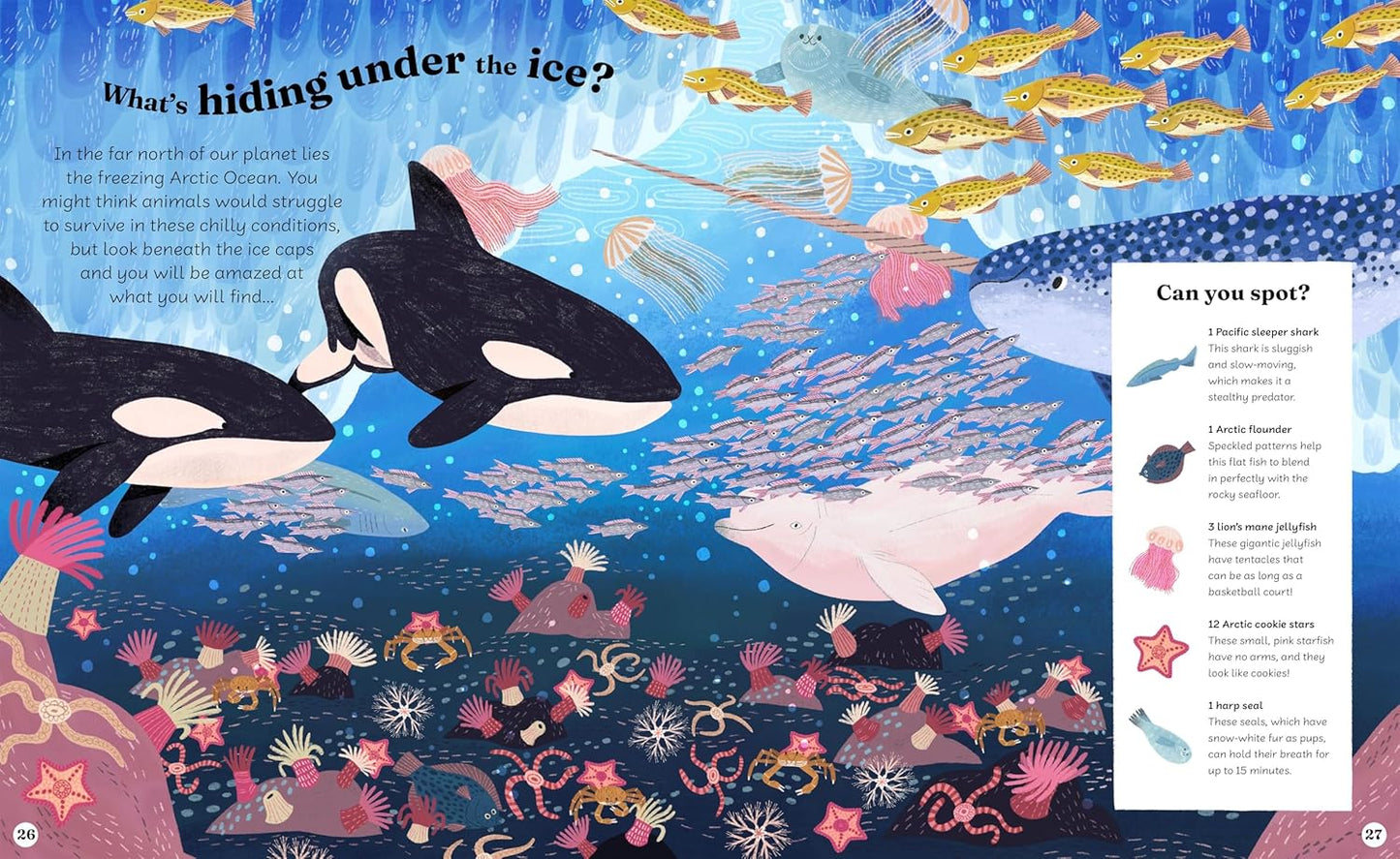 Ocean Explorer