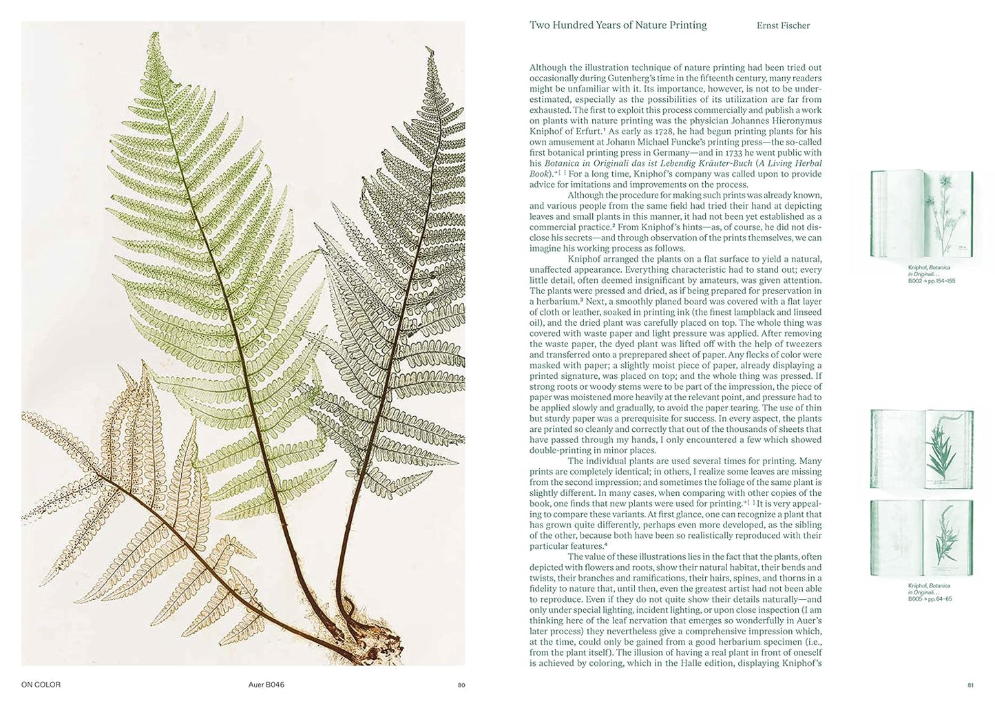 Capturing Nature: 150 Years of Nature Printing