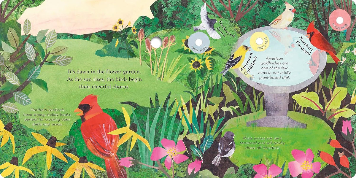 Songs of the Birds