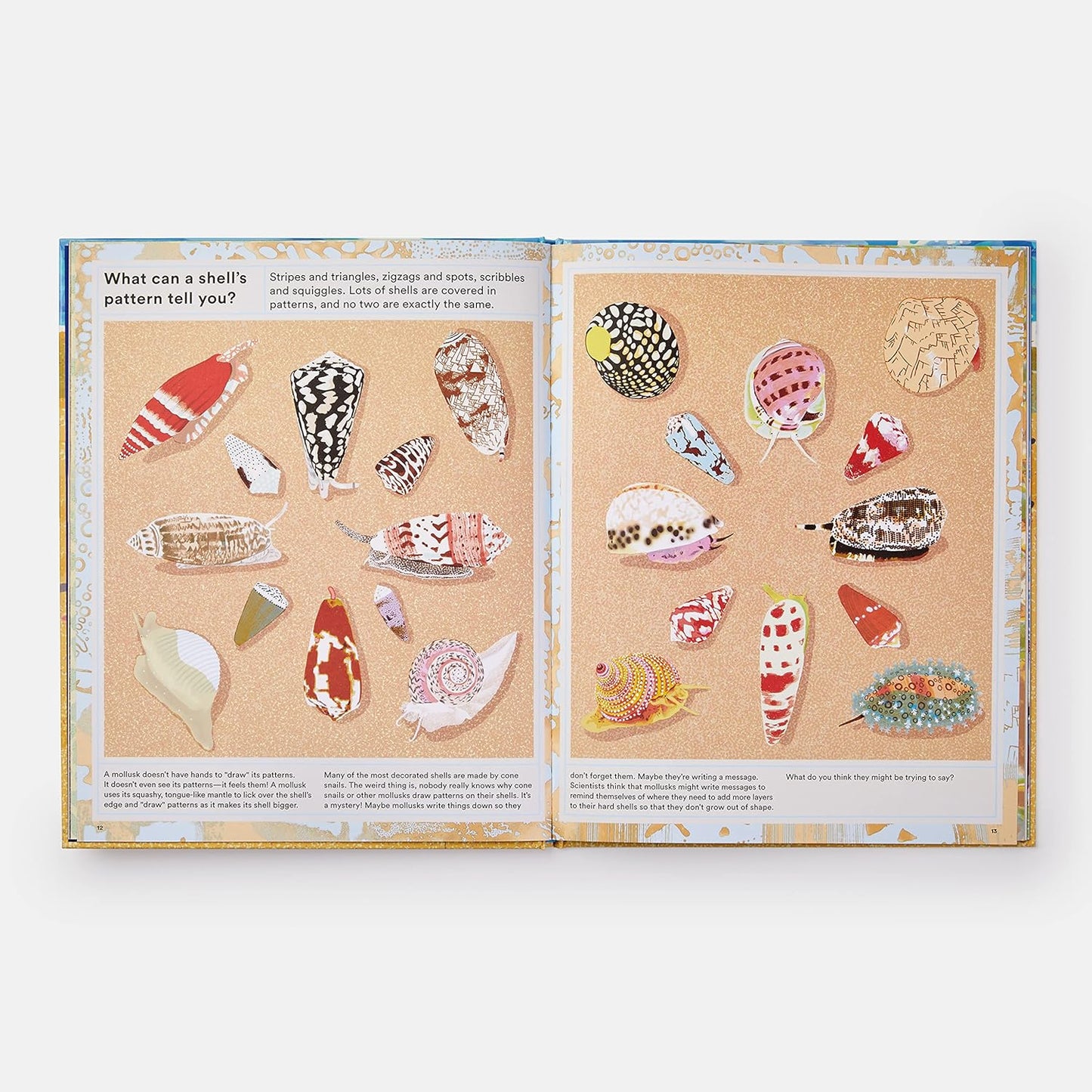 What A Shell Can Tell