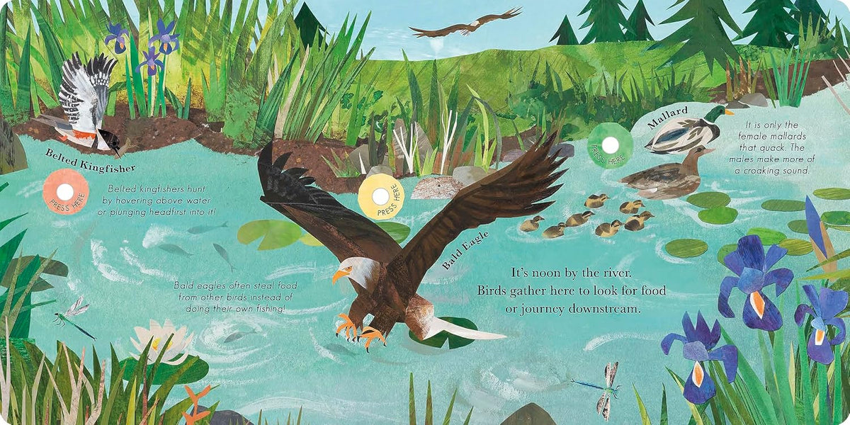 Songs of the Birds