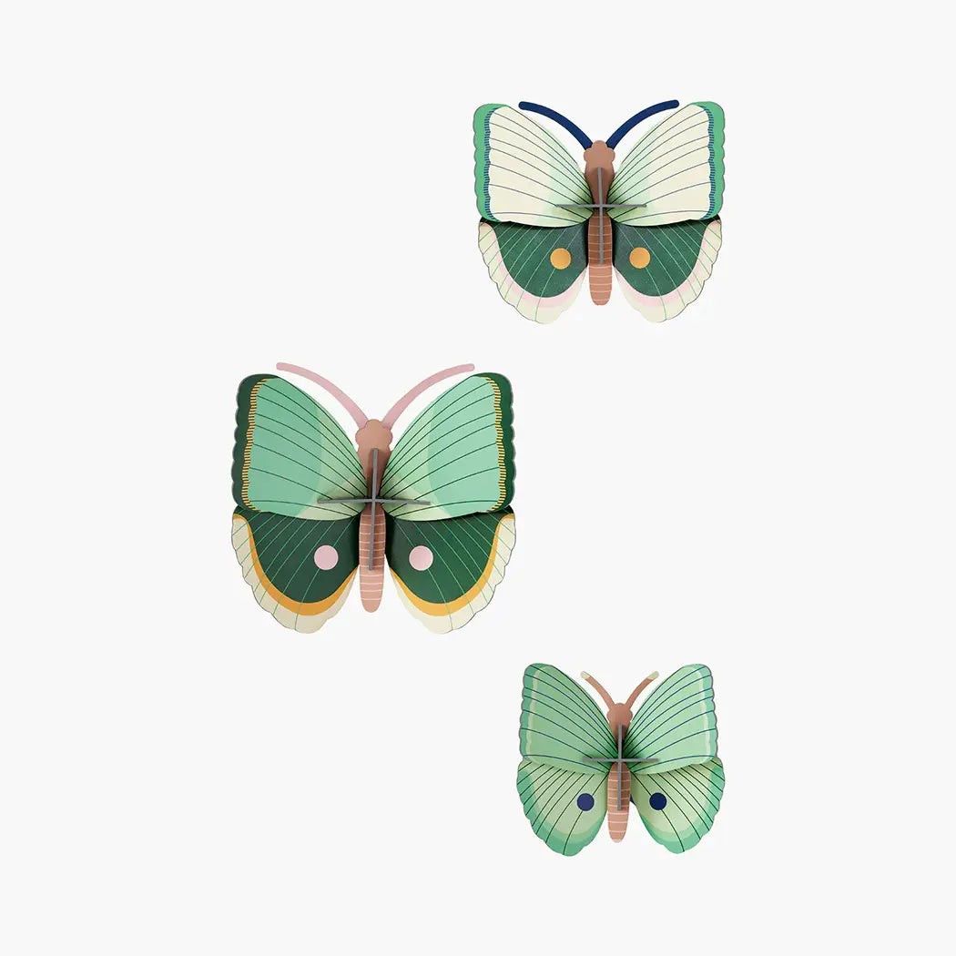 Studio Roof Wall Decor