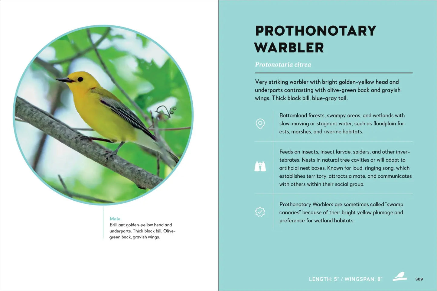 Birds of the Great Lakes