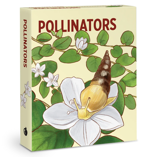 Pollinators Knowledge Cards