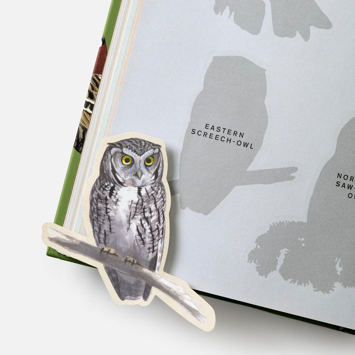 Sibley Birding Sticker Book