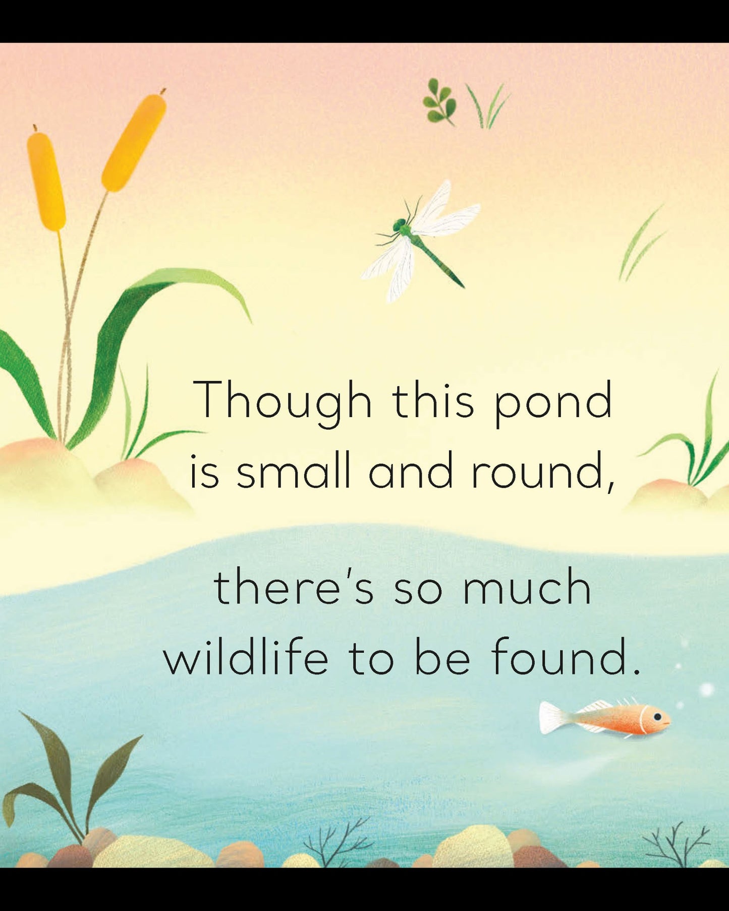 Magic Flaps In the Pond