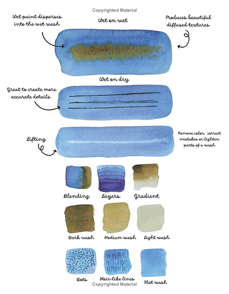 Watercolor Cabinet of Curiosities