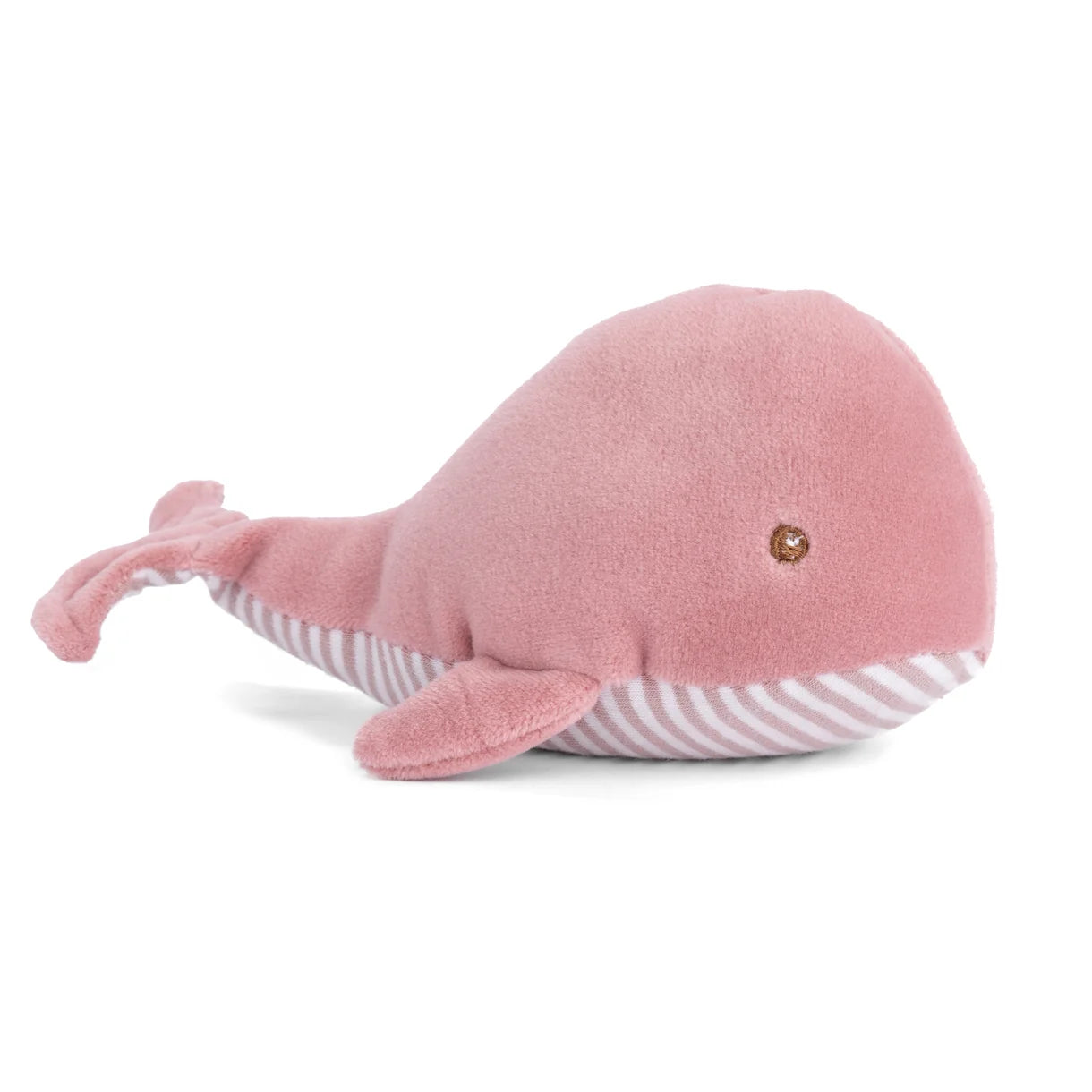 Baby Echo Whale