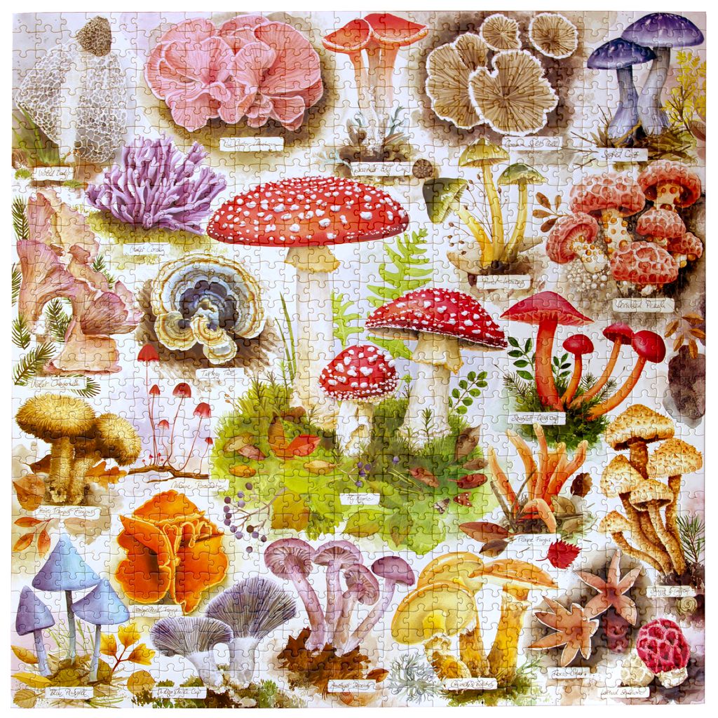 Bountiful Mushrooms, 1000 Piece Puzzle