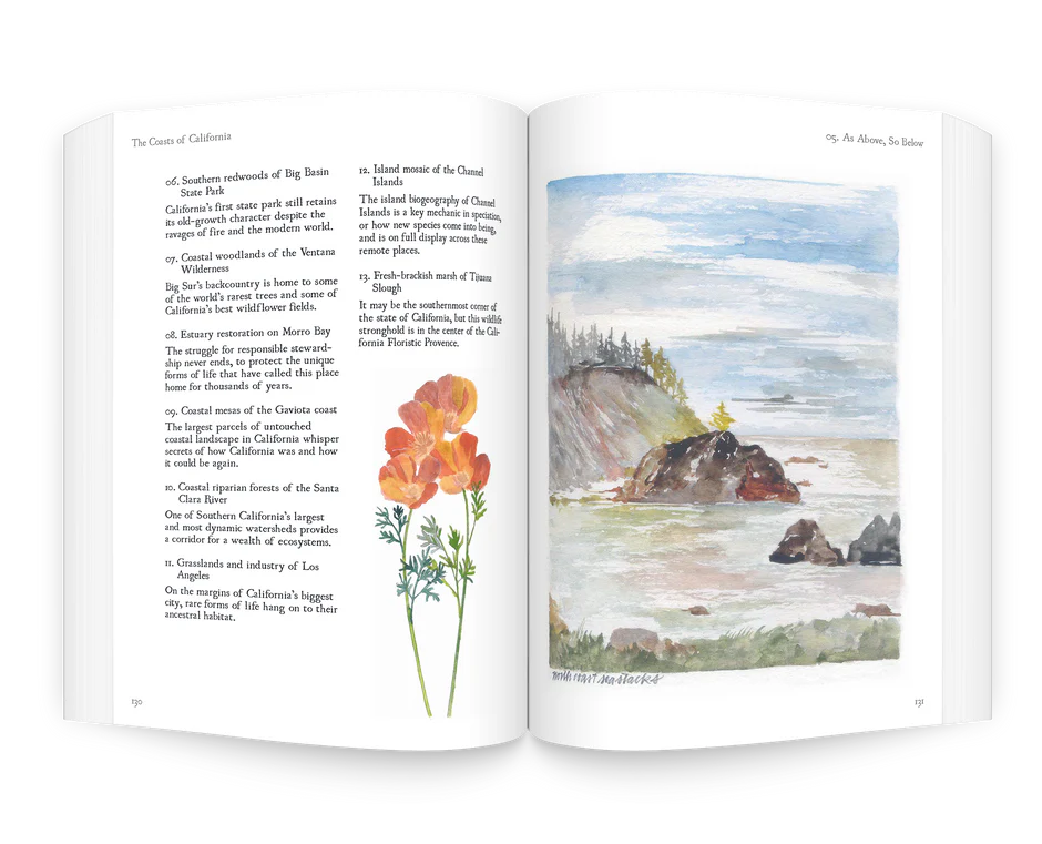 The Coasts of California