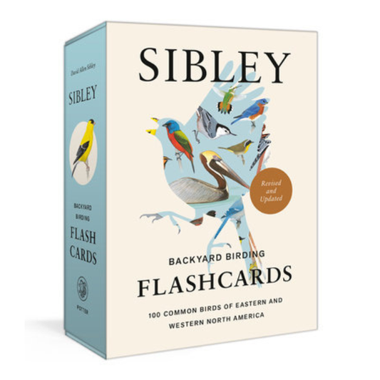 Sibley Backyard Bird Flashcards