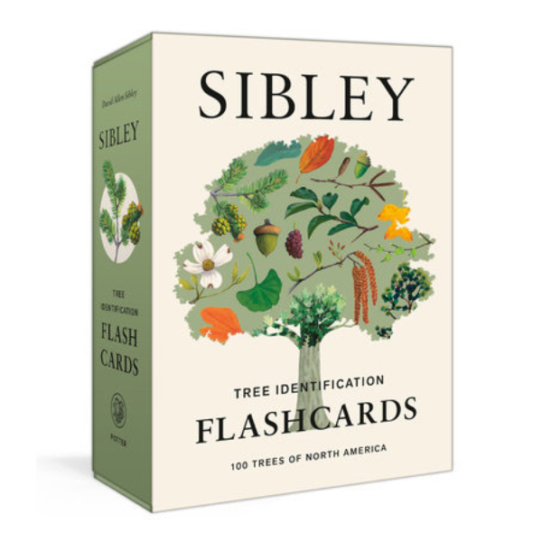 Sibley Flashcards