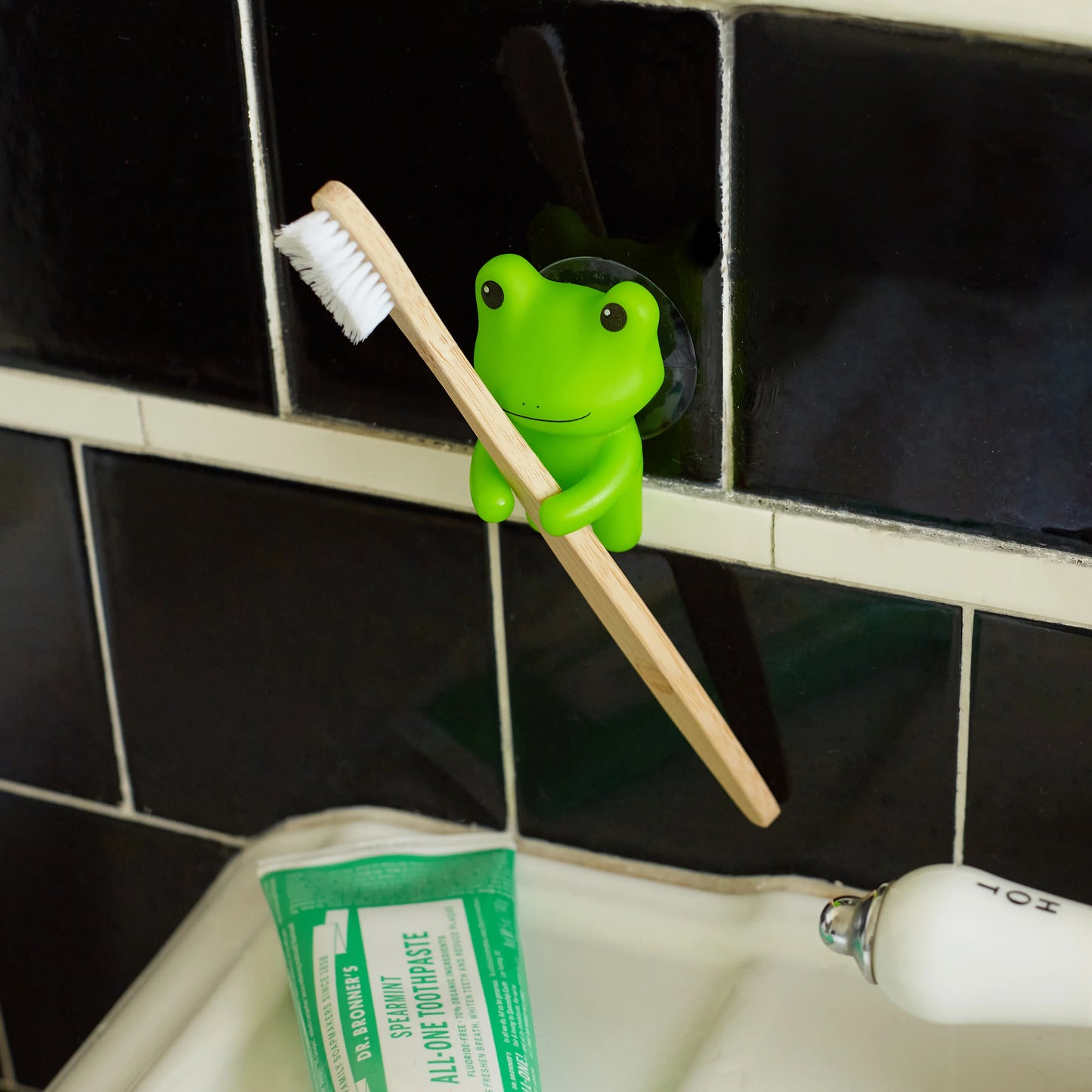 Toothbrush Holder