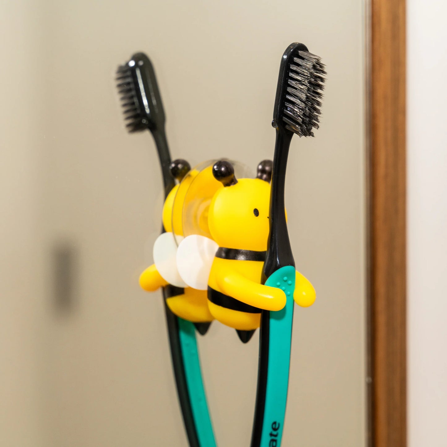 Toothbrush Holder